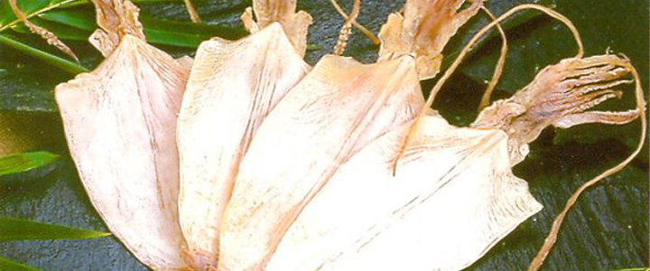 banner dac san binh dinh