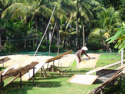 Bánh tráng nước dừa